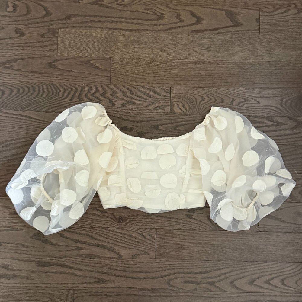 Zara Cropped Polka Dot Cream Mesh Top